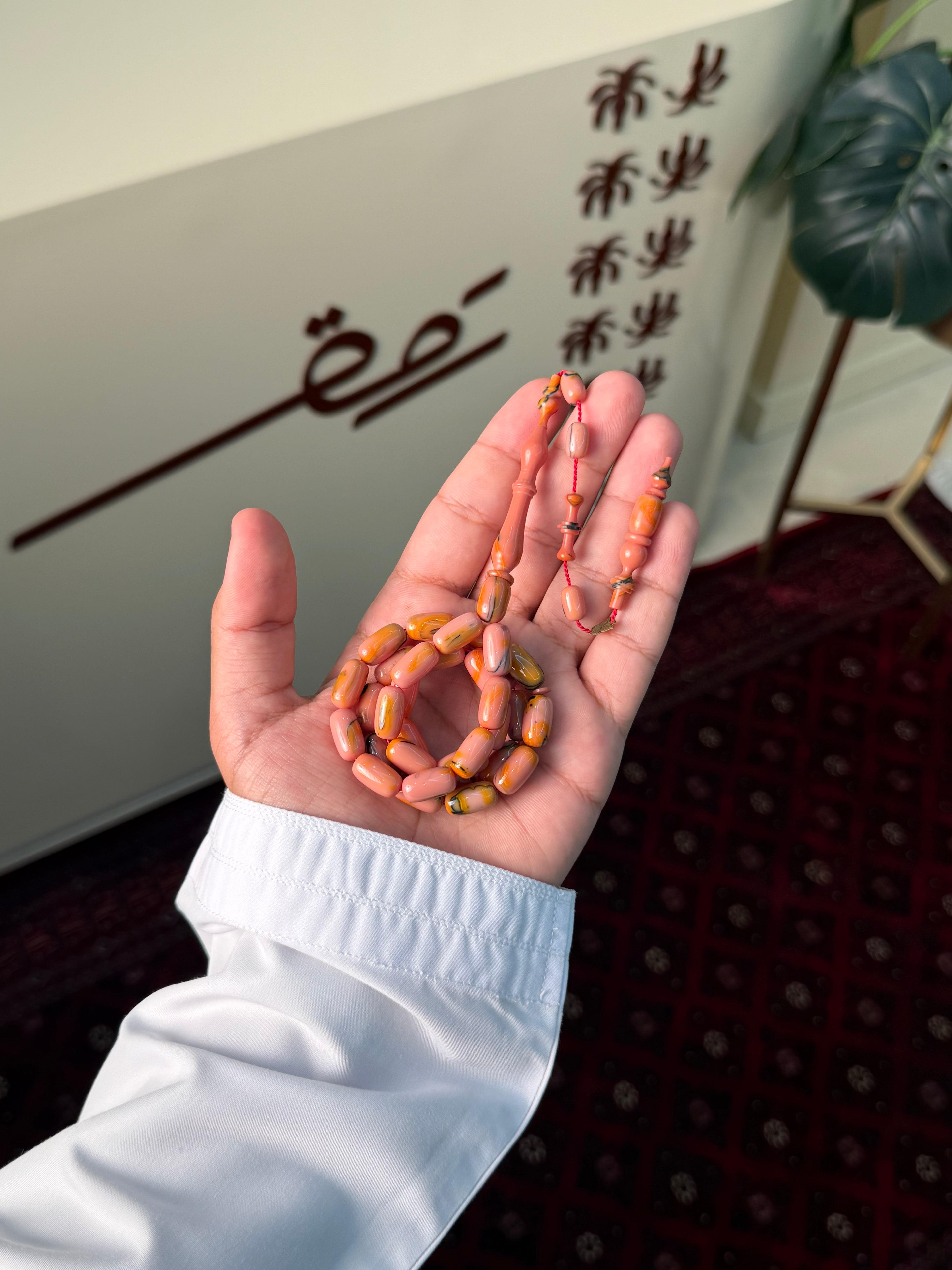 مسباح صنوبري ملطخ تركي