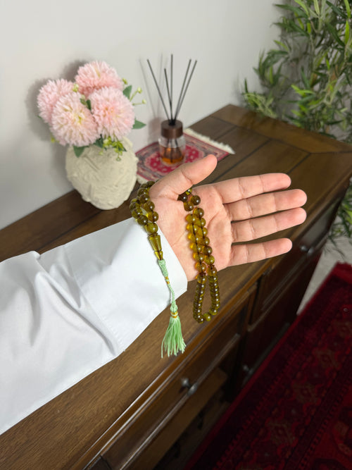 بلجيكي زيتوني