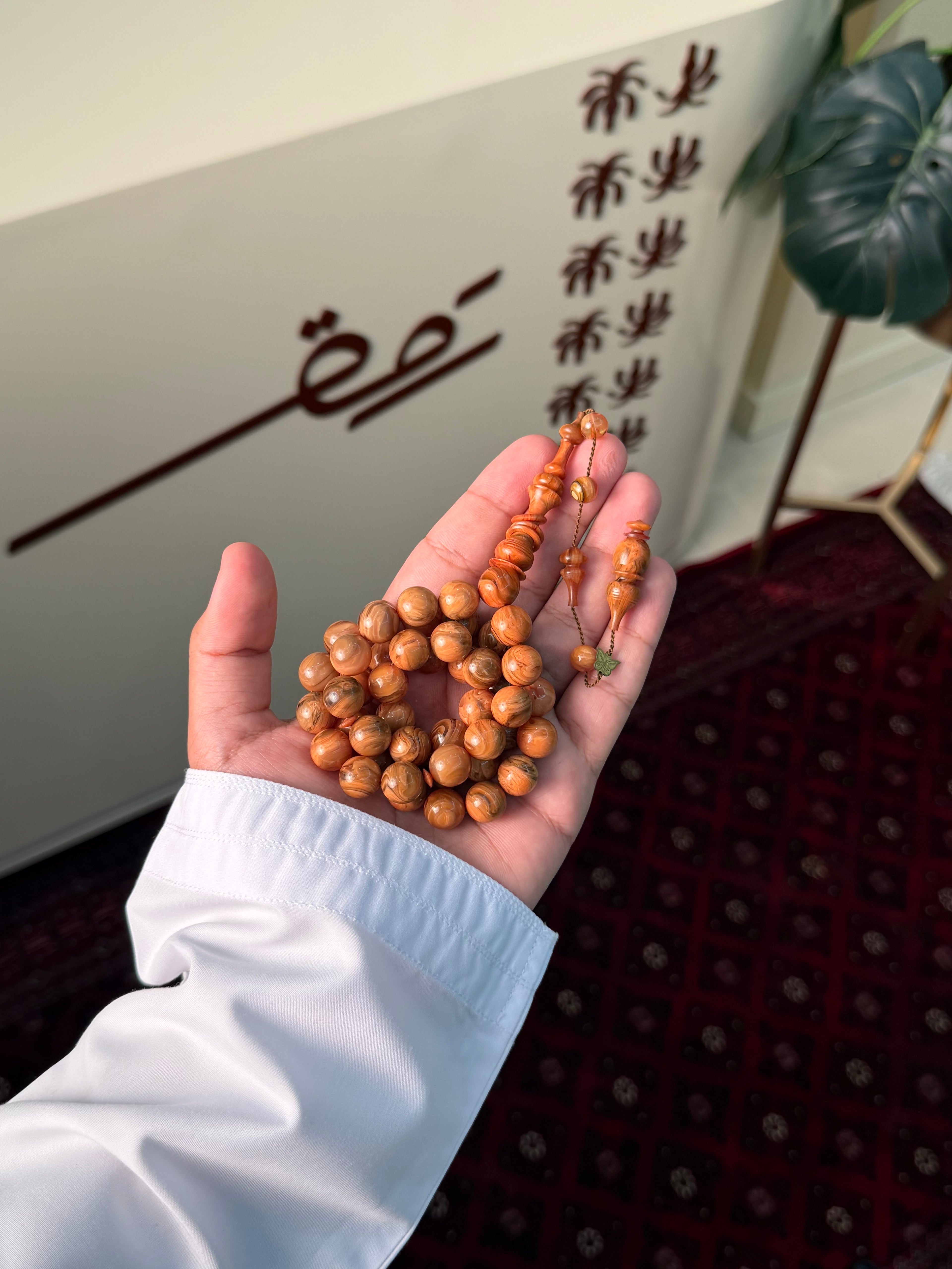 فاتوران صحراوي