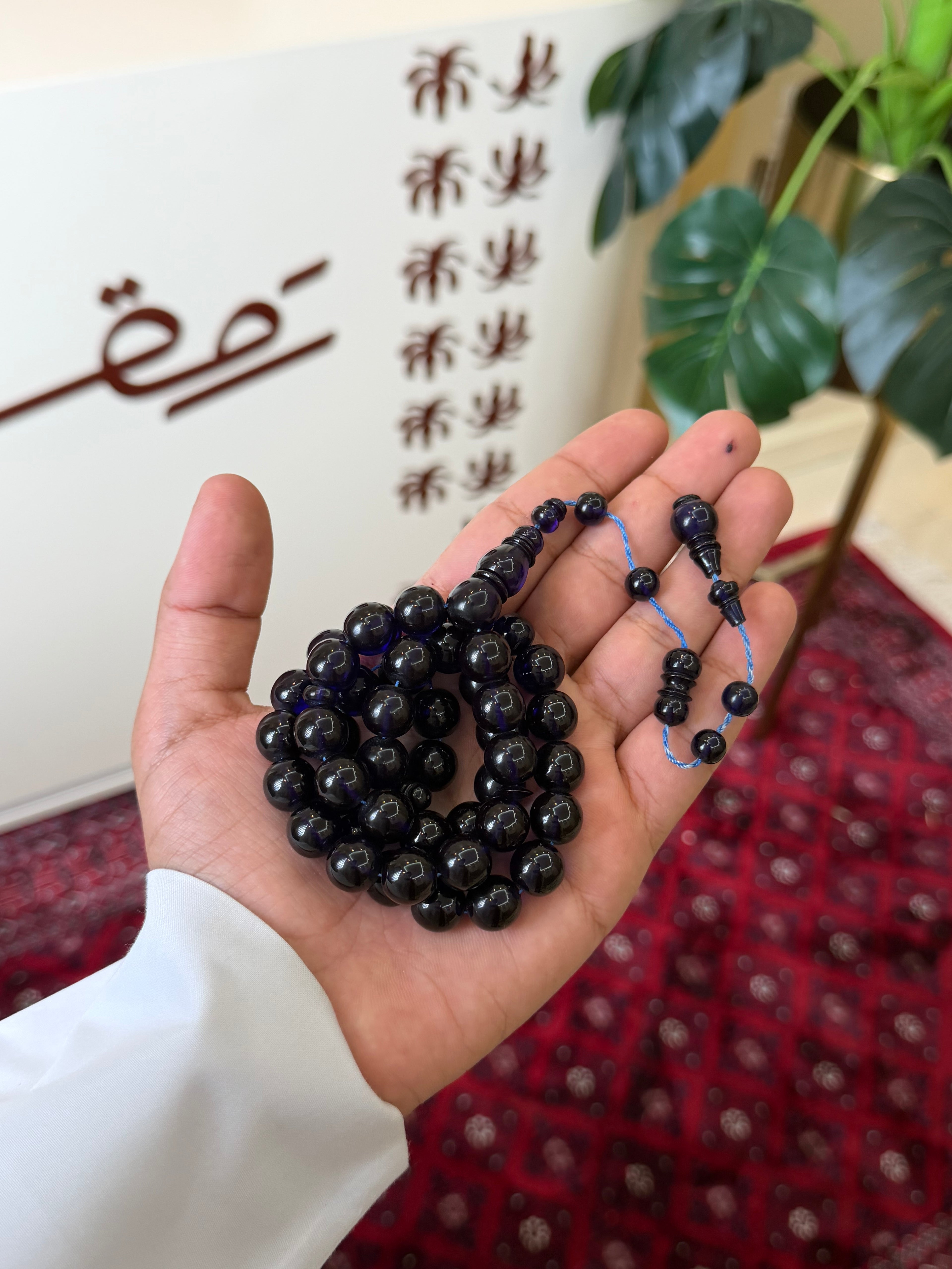 فاتوران حرباء