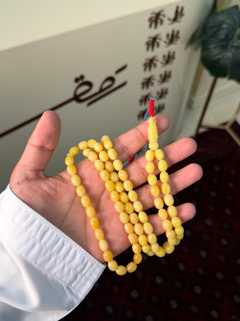 كهرمان طبيعي بيض حمام 11