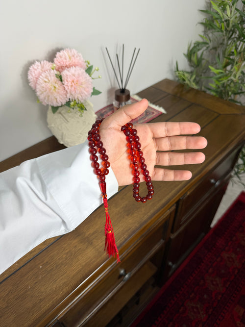 بلجيكي دم الغزال