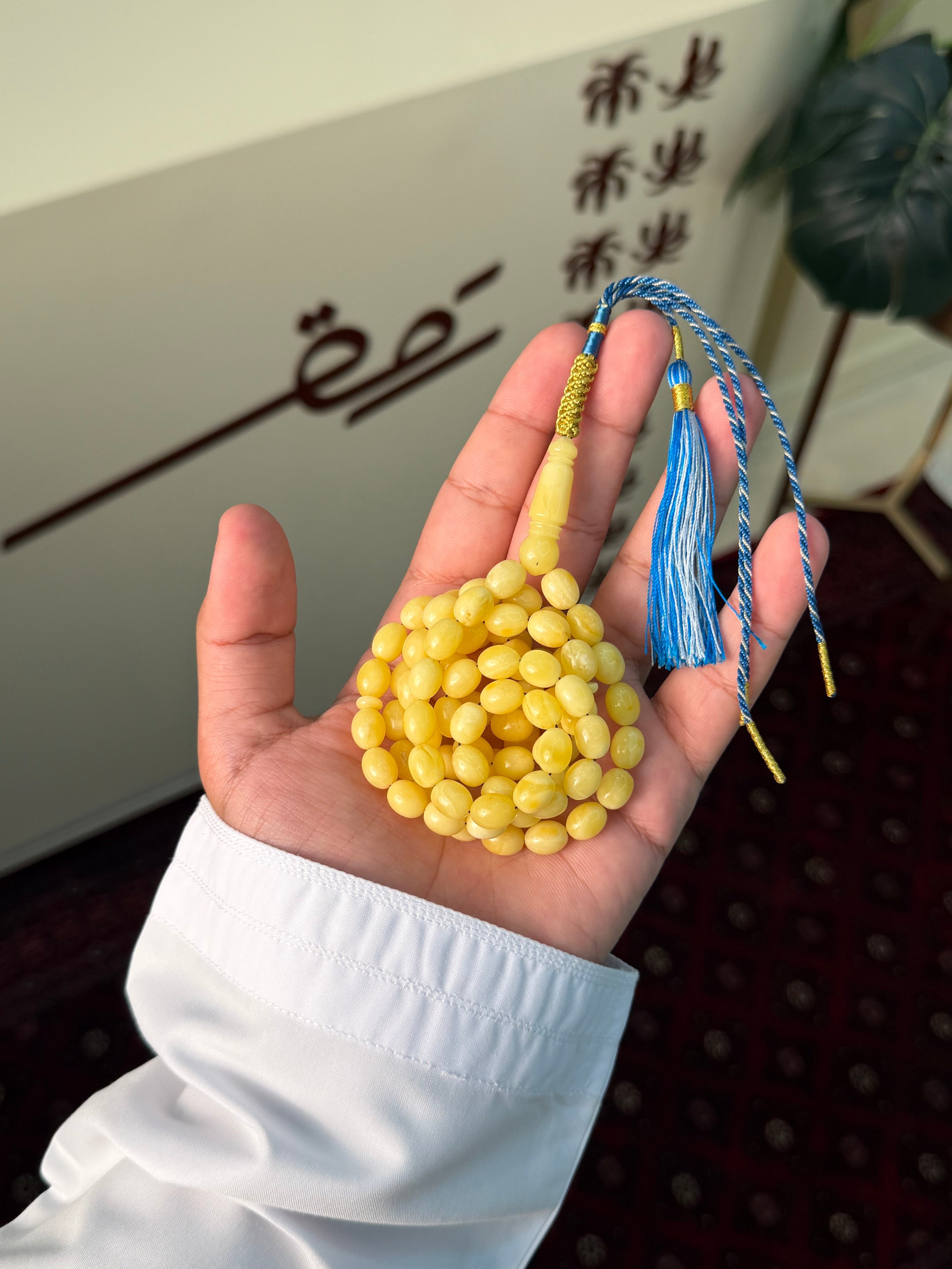 كهرمان طبيعي بيض حمام 6