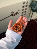 فاتوران المجره